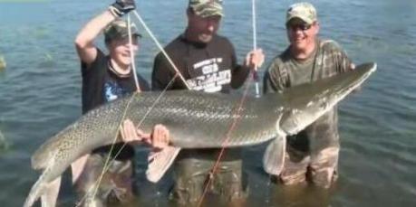 鲶鱼吃人并非传说,泰国境内出现巨型鲶鱼,重达300公斤