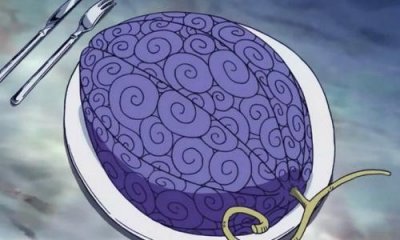 ​恶魔果实是恶魔所产，还是大树所结？两种观点你支持哪一个？