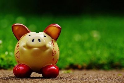​属猪2021年最倒霉的月份，二月、四月、十一月