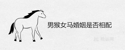 ​男猴女马婚姻是否相配 男猴女马可以在一起吗