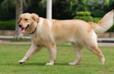 ​瑁呮壆姣涘瀛愶紝鎴戜滑鍙互鏃犻檺鍙戞尌锛?/p> 姣涘瀛愪滑瑁呮壆璧锋潵