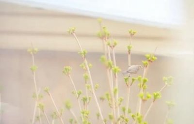 ​文莱在哪里文莱经济如何样