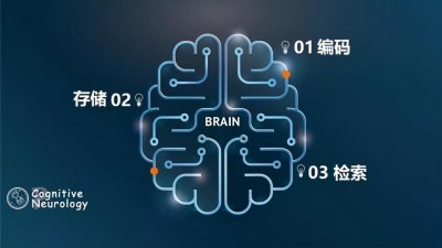 ​五十六个星座五十六枝花？你是不是也曾被你的记忆所欺骗过