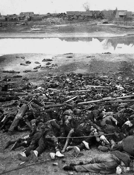 日本南京大屠杀真相(日本现存南京大屠杀史料概论)(7)