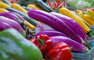 ​蔬菜种类大全资料-农业常识蔬菜种类大全资料-农业常识 内容提要: 蔬菜