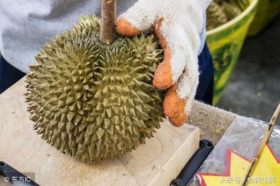 ​4个小技巧教你选到味浓又饱满的榴莲