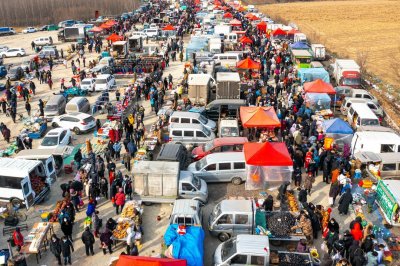 ​沈阳：“老外”体验赶集习俗，感受浓浓的年味