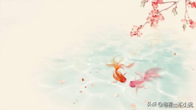 ​《了不起的小短腿》作者：江山沧澜