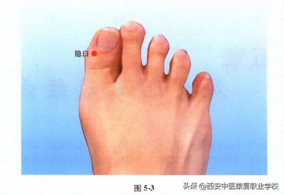 ​足太阴脾经经穴-隐白穴