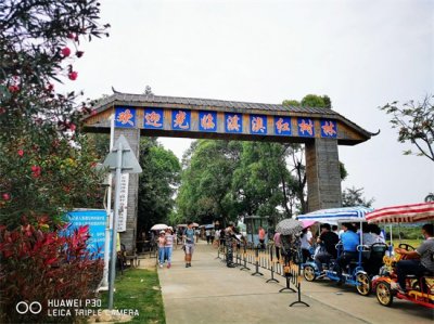 ​珠海淇澳红树林