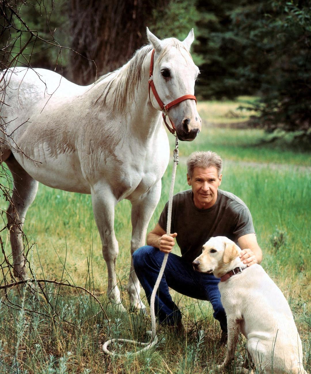 好莱坞荧幕硬汉哈里森·福特