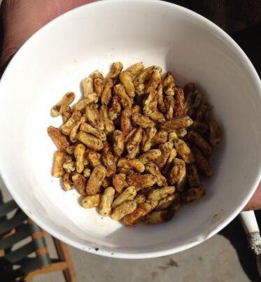 在农村有一种野味叫做“杨拉罐”,60、70、80你们吃过吗?