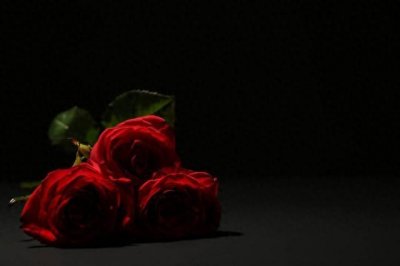 ​九朵玫瑰花代表什么意思？