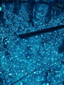 ​女生寝室的那些事