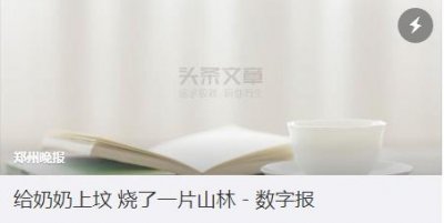 ​小伙给奶奶上坟烧纸遇大风 引燃大片山林被判刑
