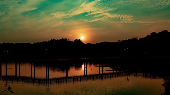 嗨！信宜，金色信宜