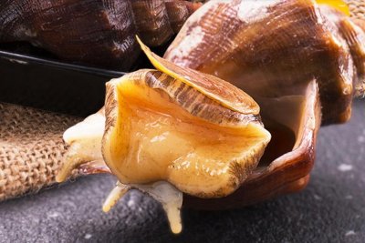​春天的海螺正肥美，牢记“3个部位”不要吃，吃得放心又健康