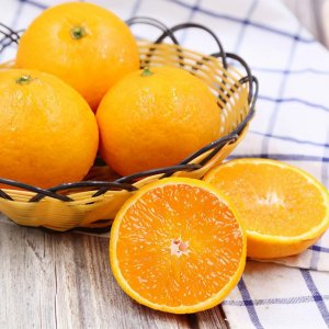 ​柑橘木虱的形态特征、发生规律及防治