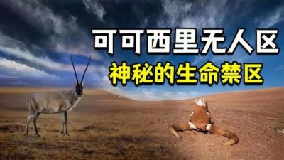 ​可可西里无人区，到底有多可怕？为何被称为“生命的禁区”？