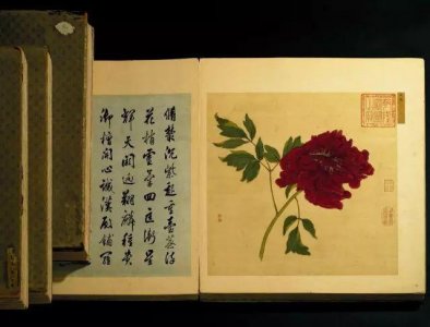 ​蒋廷锡《百种牡丹谱》能否拍出亿元？