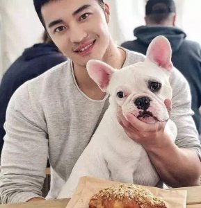 ​今年流行浅灰色为主温暖大方，想知道哪些配色组合最耐穿实用吗？