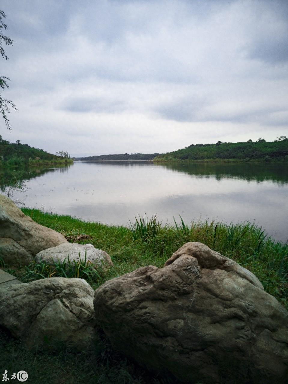 成都湿地公园青龙湖