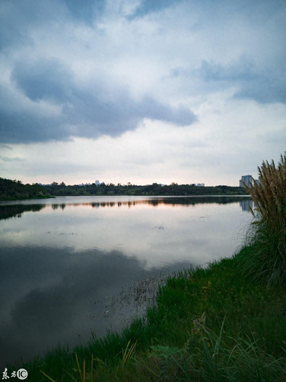 成都湿地公园青龙湖