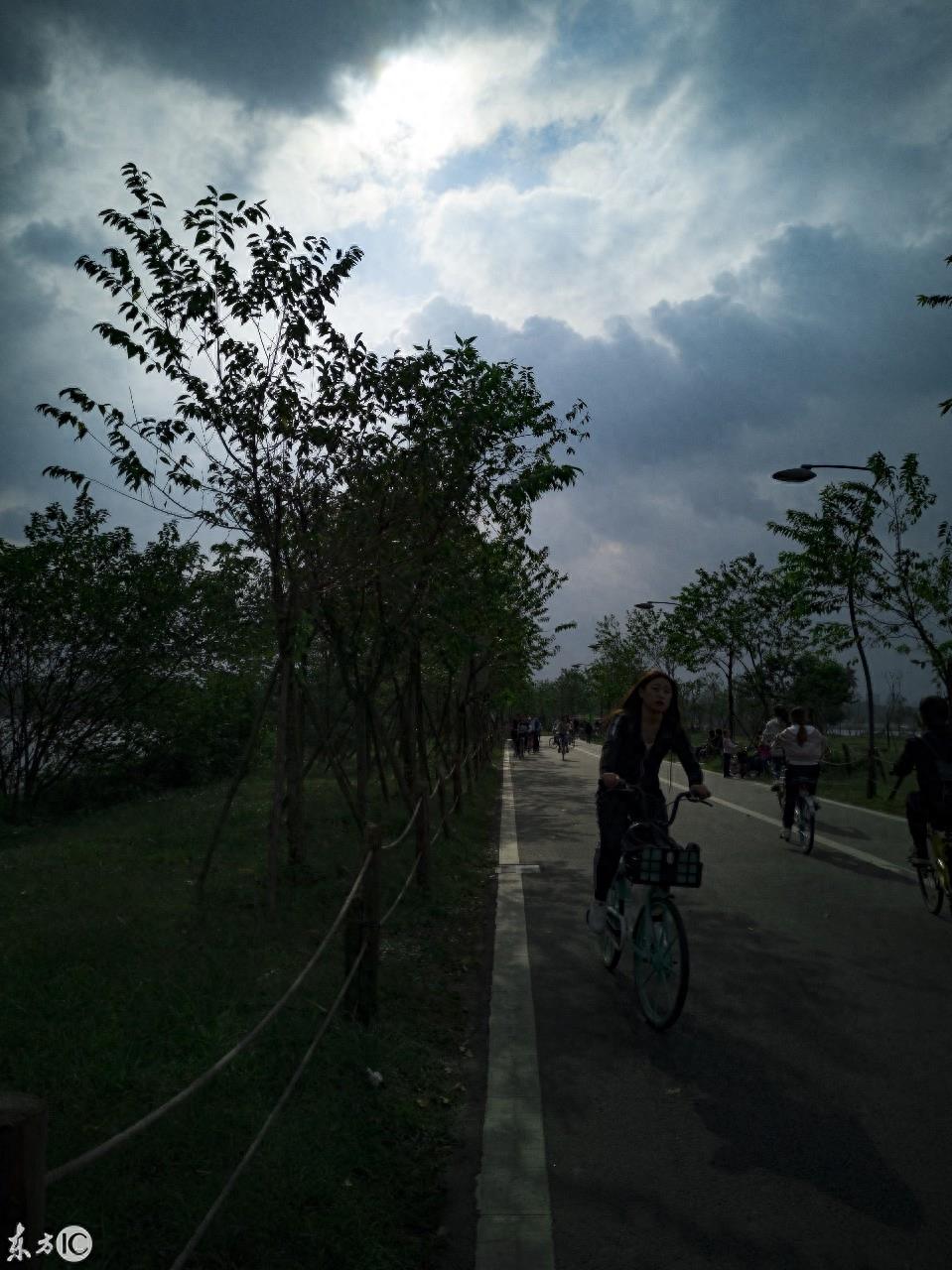 成都湿地公园青龙湖