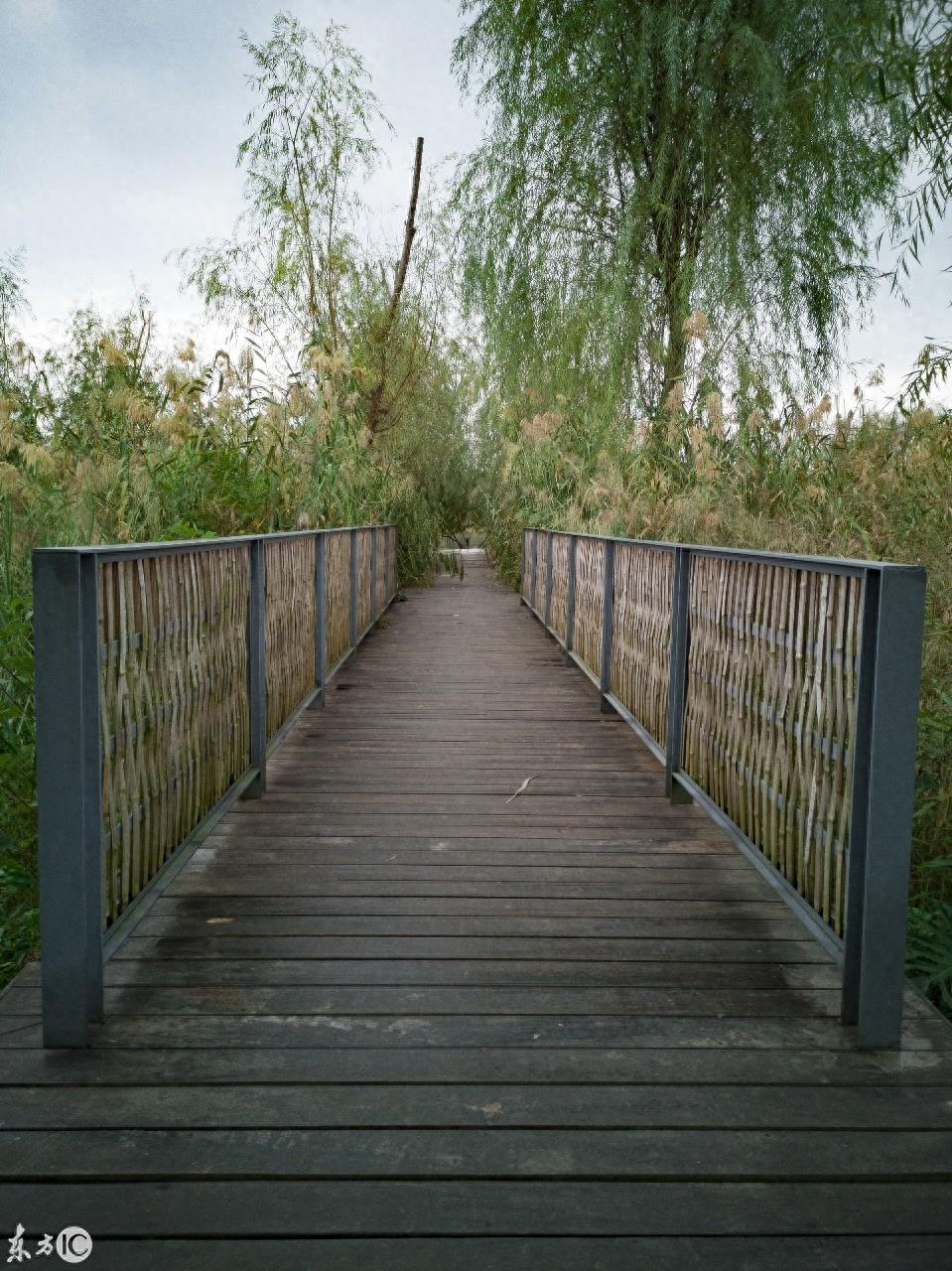 成都湿地公园青龙湖