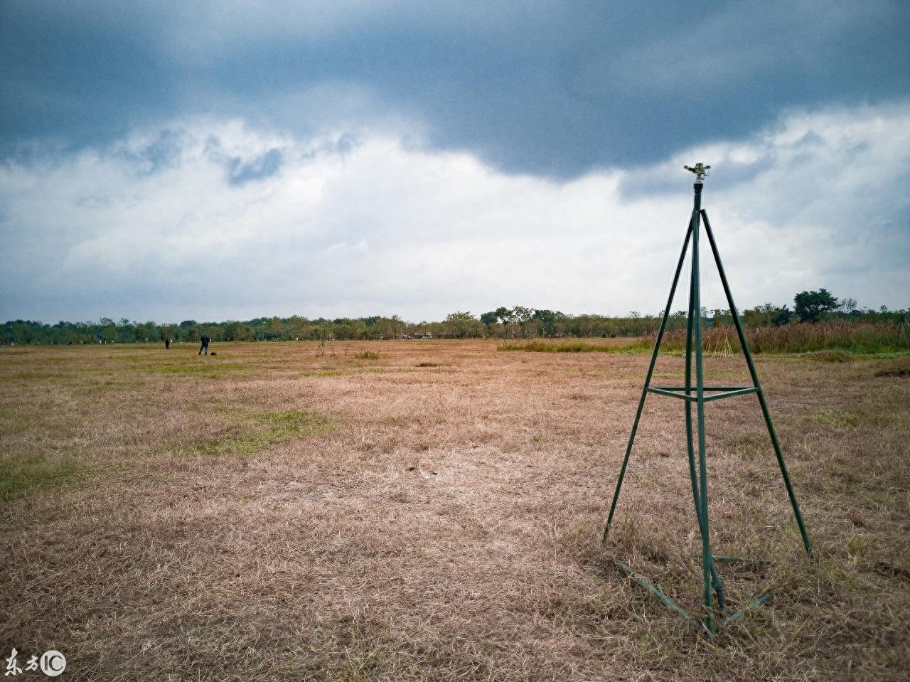 成都湿地公园青龙湖