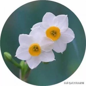 ​什么是“大学精神”？他曾经的谈话值得玩味和思考