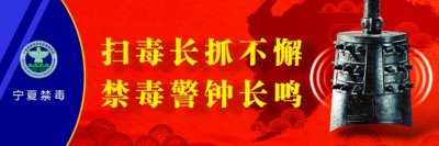 ​【禁毒宣传】实干撑起担当 厉行禁毒使命