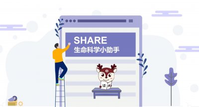 ​细菌的结构及功能