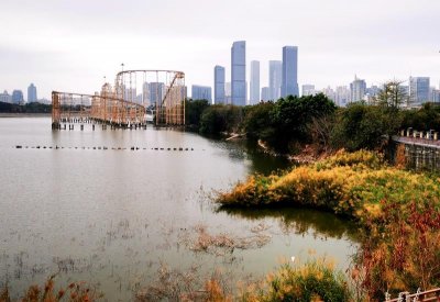 ​实拍深圳香蜜湖：现在有点萧条，但未来的规划了不得，颜值太高了