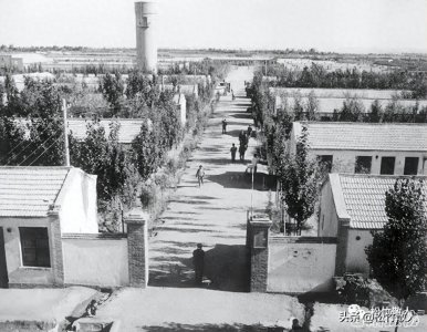 ​兰州军区生产建设兵团第一师机关各部门及主要负责人名单资料