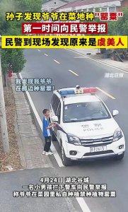 ​误会解除！孙子举报爷爷种罂粟，民警查证为虞美人