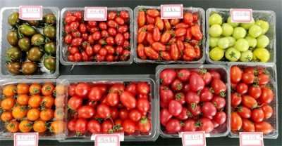 ​超市常见的8种圣女果，哪种最好吃？你吃过几种呢