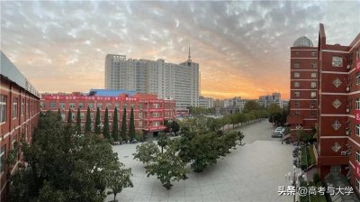 ​安徽省太和县一中和太和中学2024年高考清北7人，985院校169人