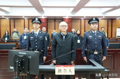 ​贵州省机场集团有限公司原董事长申振东获刑12年半
