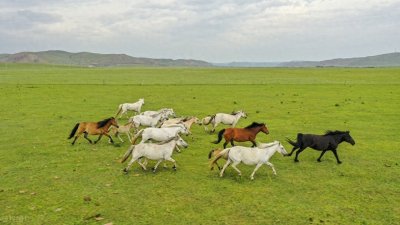​内蒙古锡林郭勒必去的三大景点