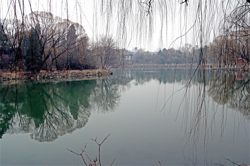 北京大学未名湖—千万人打卡的美景，有啥看点？