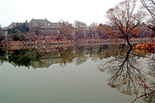 北京大学未名湖—千万人打卡的美景，有啥看点？