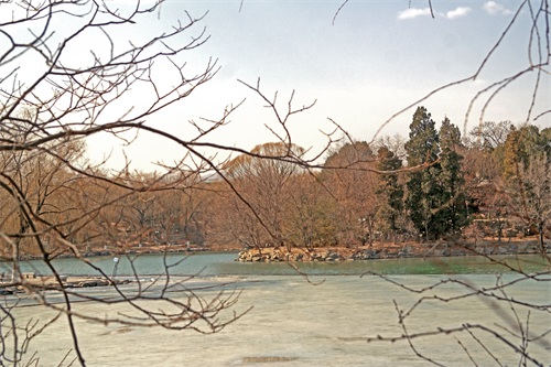 北京大学未名湖—千万人打卡的美景，有啥看点？