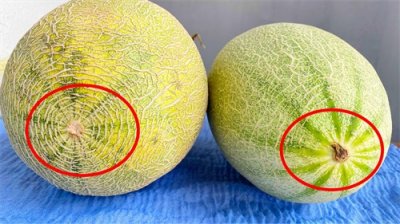 ​买哈密瓜时怎么选？老果农教你4招，个个脆甜多汁，一挑一个准
