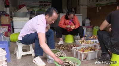 ​“王炸”干巴菌 1500元一公斤