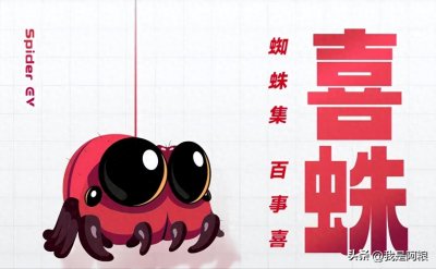 ​家里出现大蜘蛛，是吉兆还是凶兆？