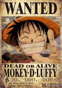 ​海贼王悬赏令，2个绝美3个搞怪｜TOI图益海贼王通缉令盘点