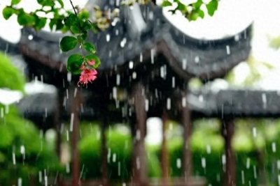 ​20句关于秋雨的古诗词，适合发朋友圈，句句唯美