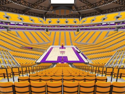 ​NBA球队球馆之湖人