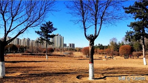 山西省大同市文瀛湖之美,进来看看就知道有多美